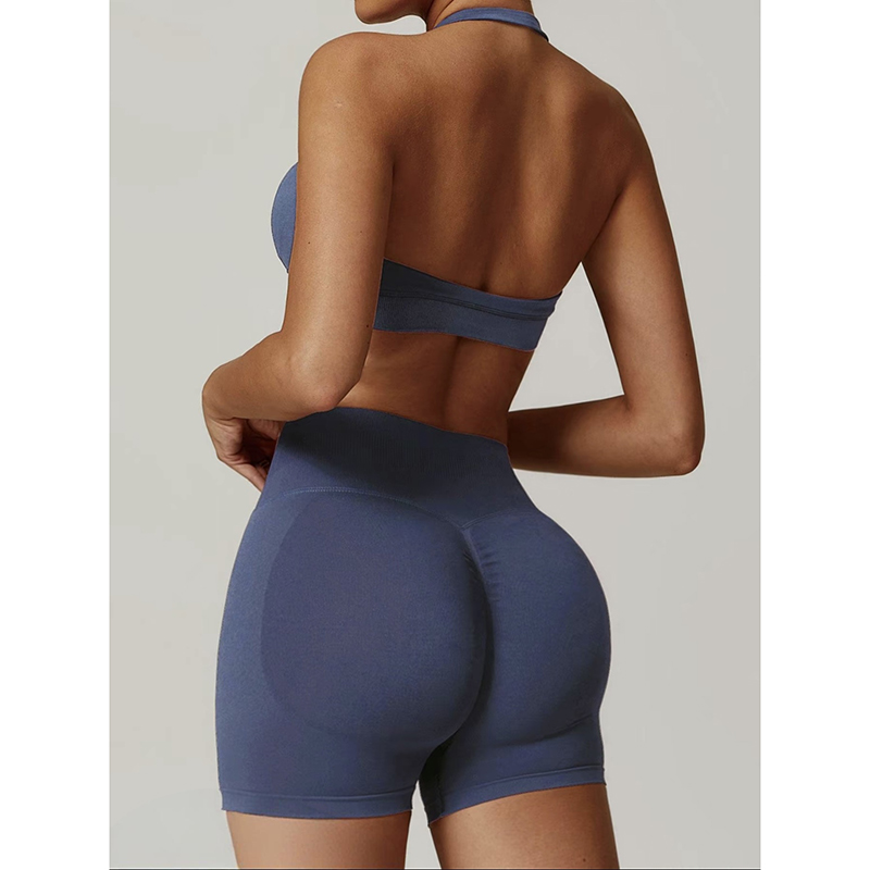 Sexy Halter Neck Beautiful Bac - Pilates Yoga Clothes review and price